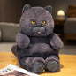 British Shorthair Blue Cat Plush Stuffed Toy-4