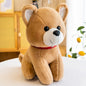 Plush Puppy-5